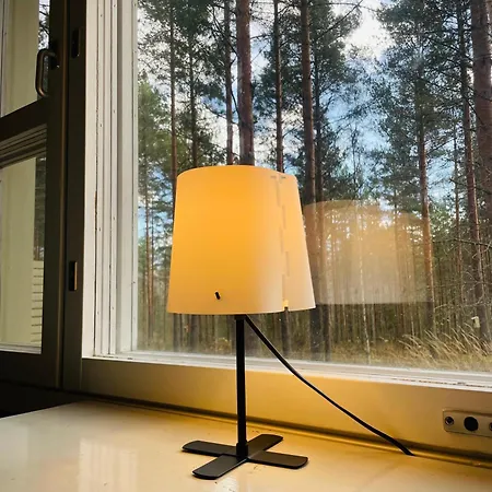 Voionmajoitus Ylojarvi