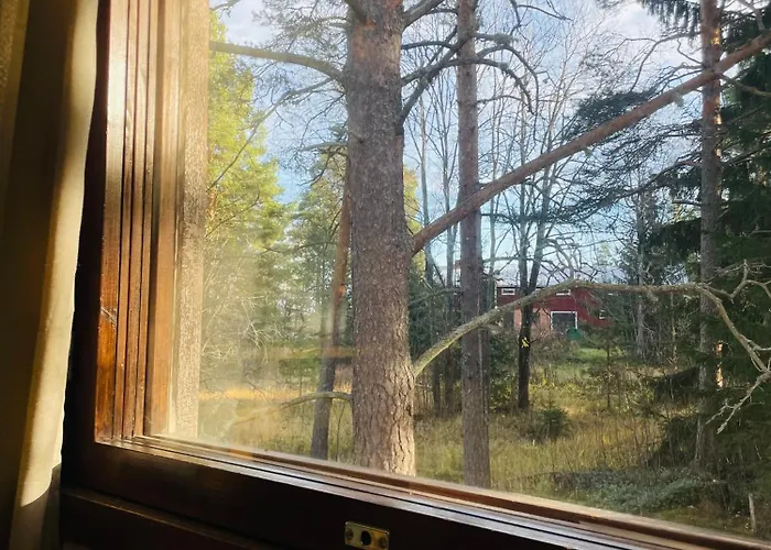 Voionmajoitus Soihtu بيت شباب Ylojarvi